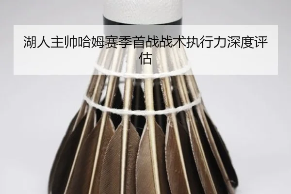 湖人主帅哈姆赛季首战战术执行力深度评估
